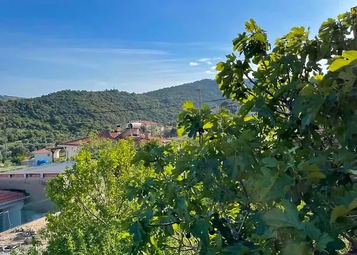 Denize 2 Km Manzarali Ve Ferah Campingplatz *