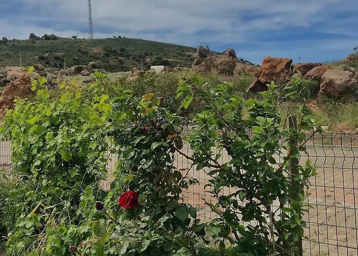 Denize 2 Km Manzarali Ve Ferah Campingplatz İmroz